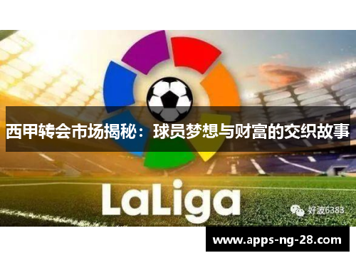 西甲转会市场揭秘：球员梦想与财富的交织故事