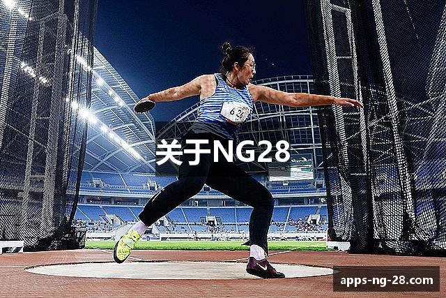 关于NG28